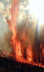 Ponil Complex Wildfire, 2002